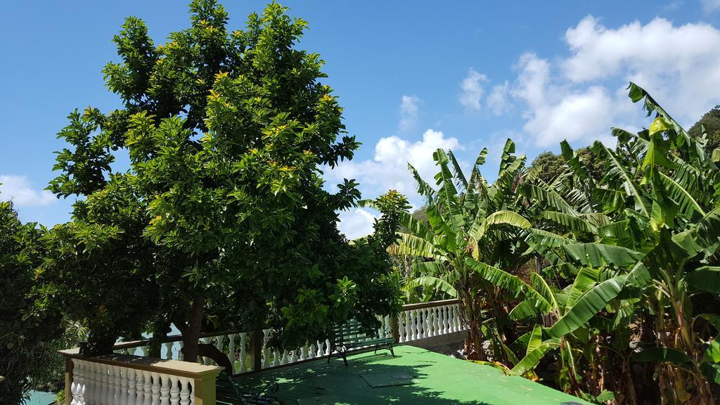 Apartament Hibiscus House Seychelles Self Catering Victoria Zewnętrze zdjęcie